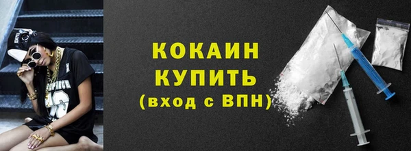 твердый Краснослободск