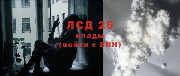 твердый Краснослободск