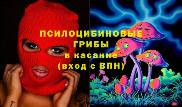 прущие крисы Краснотурьинск