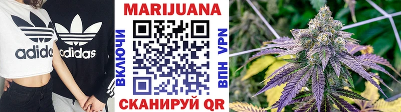 Купить где  Севск  Шишки марихуана SATIVA & INDICA 